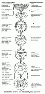 Chakra system & glands