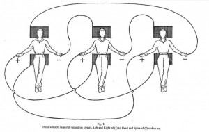 3 Person Eeman Cooperative Circuit