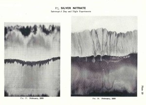 Silver Nitrate