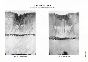 Silver Nitrate