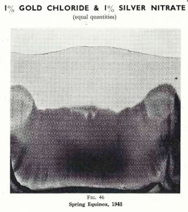 Plate 25, Fig. 46, 1% Gold chloride and 1% Silver nitrate