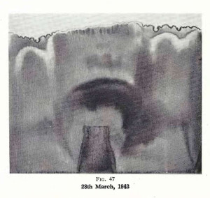 Plate 25, Fig. 47, 1% Gold chloride and Silver nitrate
