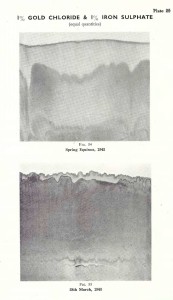 Gold chloride & Iron sulphate