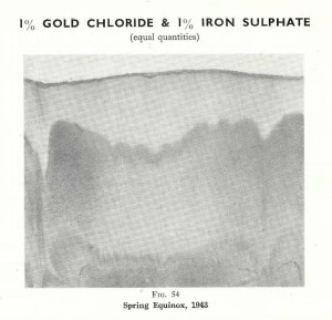 Plate 29, Fig. 54, 1% Gold chloride and 1% Iron sulphate
