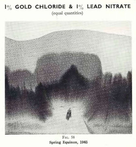 Plate 31, Fig. 59, 1% Gold chloride and 1% Lead nitrate