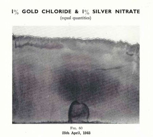 Plate 32, Fig. 60, 1% Gold chloride and 1% Silver nitrate