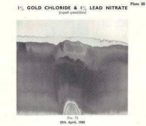Plate 38, Fig. 72, 1% Gold chloride and 1% Lead nitrate