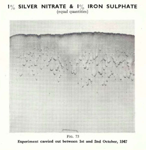 Plate 38, Fig. 73